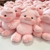Gối nhồi bông NAMSHEVA Pig 17,7 inch - Đồ chơi sang trọng, hỗ trợ cảm xúc, 186.120₫ 4
