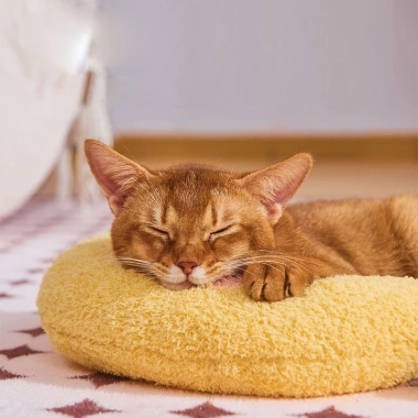 Gối ôm cổ chữ U cho mèo và chó nhỏ, siêu mềm, thoáng khí, giặt được, quanh năm