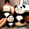 Gối ôm Lena gấu trúc ANVIHOME siêu kute - Đa size, giá chỉ 199.000đ 2