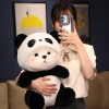 Gối ôm Lena gấu trúc ANVIHOME siêu kute - Đa size, giá chỉ 199.000đ 5