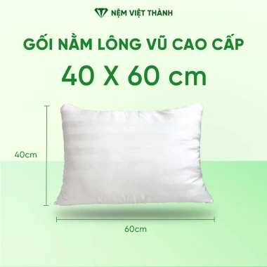 Gối ôm lông vũ Việt Thành to dài mềm mại, trọn cơ thể, khóa kéo, giá 366.000₫ 9