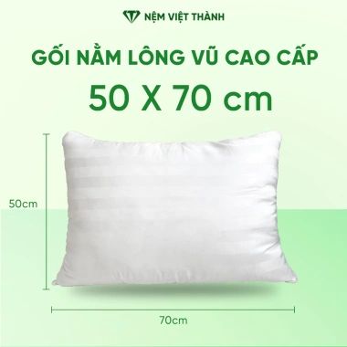 Gối ôm lông vũ Việt Thành to dài mềm mại, trọn cơ thể, khóa kéo, giá 366.000₫ 10