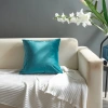 Gối tựa lưng sofa nhung 45x45 cm - Thiết kế hiện đại châu Âu, sang chảnh, giảm giá 57.000₫ 4