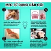 Gội xả colagen keratin YUKI 2.000ml - Siêu mềm mượt, kích mọc tóc, phục hồi tóc hư tổn, giảm giá 210.000đ 2