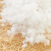 Gòn Bi Loại 1 200gr - Nhồi Thú Bông Giá Ưu Đãi 20.000 VND, Độ Mềm Cao, Phù Hợp DIY Thủ Công 8