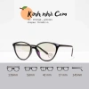 Gọng kính mắt mèo sếch nữ cá tính FERADO – Kính mát giả cận chỉ 29.900đ 2