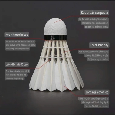 Gongke Ống Cầu Lông 12 Trái Ngỗng Ổn Định Bám Tốt Chất Lượng Cao Tập Luyện Thi Đấu 6 Gongke Ống Cầu Lông 12 Trái Ngỗng Ổn Định Bám Tốt Chất Lượng Cao Tập Luyện Thi Đấu 6