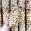 Granola 3 loại hạt macca, hạnh nhân, điều sữa 500gr - Giá ưu đãi 160.000₫