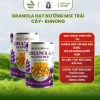 Granola Bhnong Nướng Mộc Mix Trái Cây Hữu Cơ - Không Yến Mạch, Dinh Dưỡng, Ăn Kiêng