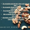 Granola cao cấp Mix Nuts 500g - Óc chó, Hạt điều, Hạt bí xanh - Giá 159.000đ 5