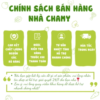 Granola Chamy Food – Bánh Ngũ Cốc Mix Hạt Dinh Dưỡng Healthy, Giá 119.000đ