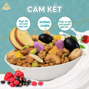 Granola Ngũ Cốc Nướng Phồng Vị Vanilla Mix Sữa Chua 500g Befresco - Giảm Cân, Ăn Kiêng, Hạt Ngon