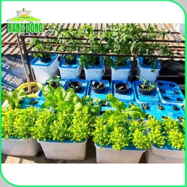 GreenLeaf Dung Dịch Thủy Canh - Dinh Dưỡng Rau Ăn Lá & Quả, Giá 120.000đ - H2T Farm 2