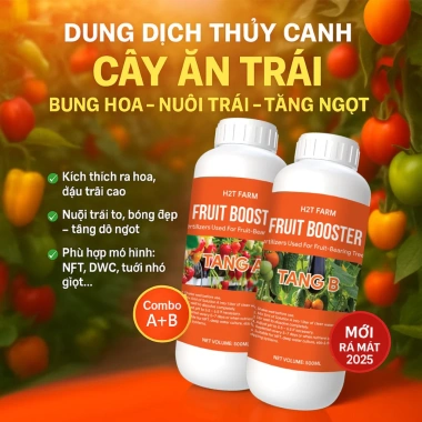 GreenLeaf Dung Dịch Thủy Canh - Dinh Dưỡng Rau Ăn Lá & Quả, Giá 120.000đ - H2T Farm 5