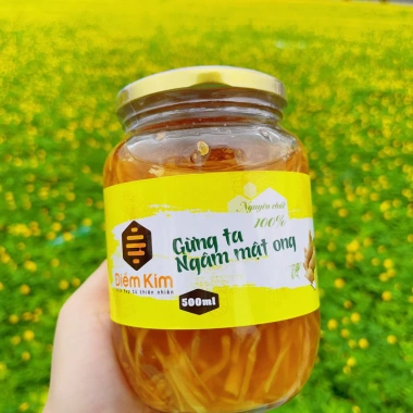 Gừng lên men mật ong Điềm Kim 500ml - Ngon, bổ dưỡng, giảm giá 100.000đ