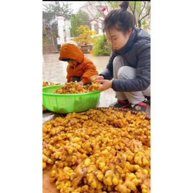Gừng lên men mật ong Điềm Kim 500ml - Ngon, bổ dưỡng, giảm giá 100.000đ