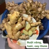 Gừng ta Tươi Nguyên Farm 1kg ruột vàng rửa sạch - thơm nồng, mứt tết & trà, 22.500 VND 3