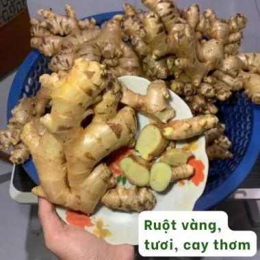 Gừng ta Tươi Nguyên Farm 1kg ruột vàng rửa sạch - thơm nồng, mứt tết & trà, 22.500 VND 3 Gừng ta Tươi Nguyên Farm 1kg ruột vàng rửa sạch - thơm nồng, mứt tết & trà, 22.500 VND 3