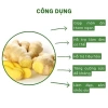 Gừng ta Tươi Nguyên Farm 1kg ruột vàng rửa sạch - thơm nồng, mứt tết & trà, 22.500 VND 5