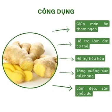 Gừng ta Tươi Nguyên Farm 1kg ruột vàng rửa sạch - thơm nồng, mứt tết & trà, 22.500 VND 5 Gừng ta Tươi Nguyên Farm 1kg ruột vàng rửa sạch - thơm nồng, mứt tết & trà, 22.500 VND 5