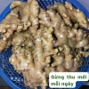 Gừng ta Tươi Nguyên Farm 1kg ruột vàng rửa sạch - thơm nồng, mứt tết & trà, 22.500 VND 9