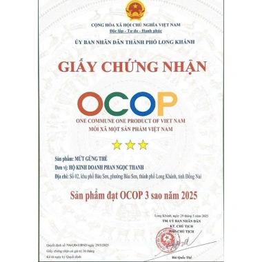 Gừng Thẻ Nguyên Chất Chế Tự Nhiên Thủ Công Sư Cô Chùa Không Bảo Quản Giá 99.000₫ 2