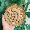 Gừng Viên Vị Mật Ong - Tăng đề kháng, giảm ho, giảm viêm, giá chỉ 99.000đ