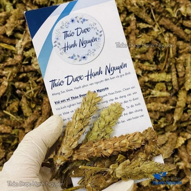 Hạ khô thảo 1kg - Thảo dược Hạnh Nguyên, giảm giá 120.000₫, dược liệu thiên nhiên