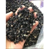 Hắc Kỷ Tử Tây Tạng 500gr Sấy Khô - Sáng Mắt Đẹp Da Chống Lão Hóa, Giá chỉ 78.986 VND 2