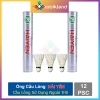 Hải Yến Ống Cầu Lông 6-12 Trái Dùng Tập Luyện Thi Đấu Phụ Kiện Thể Thao Giá Ưu Đãi 177.000 VND 5
