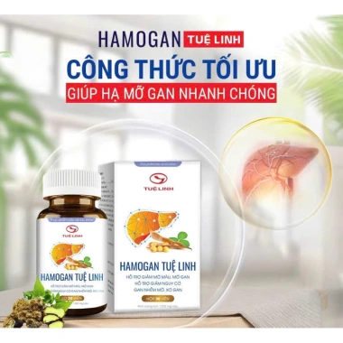 Hamogan Tuệ Linh T8/2.027 - Giá 208.000đ, giảm đau hạ sườn chỉ trong 1 tháng
