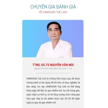 Hamogan Tuệ Linh T8/2.027 - Giá 208.000đ, giảm đau hạ sườn chỉ trong 1 tháng