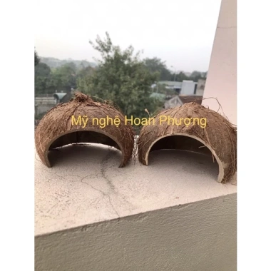 Hang gáu dừa tự nhiên cho ốc mượn hồn và bò sát – Giá ưu đãi 20.000 VNĐ 3 Hang gáu dừa tự nhiên cho ốc mượn hồn và bò sát – Giá ưu đãi 20.000 VNĐ 3