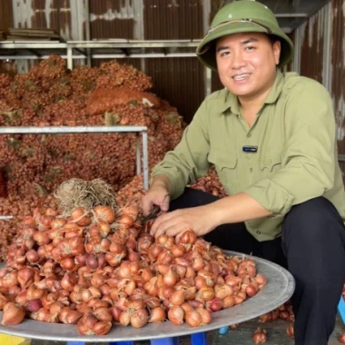 Hành Củ Kinh Môn Loại 1 Củ To Chắc Mẩy Chuẩn Vị - Giảm 23% Từ 97.500 Đến 75.000 - ANH BÉO 2