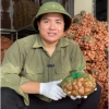 Hành Củ Kinh Môn Loại 1 Củ To Chắc Mẩy Chuẩn Vị - Giảm 23% Từ 97.500 Đến 75.000 - ANH BÉO 3