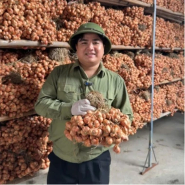 Hành Củ Kinh Môn Loại 1 Củ To Chắc Mẩy Chuẩn Vị - Giảm 23% Từ 97.500 Đến 75.000 - ANH BÉO 5