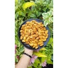 Hạnh Nhân Rang Bơ Siêu Dinh Dưỡng 100% Hạt Mới Vị Béo Thơm Ngon - Highland Farm 500g Giá Ưu Đãi 149.000₫ 8