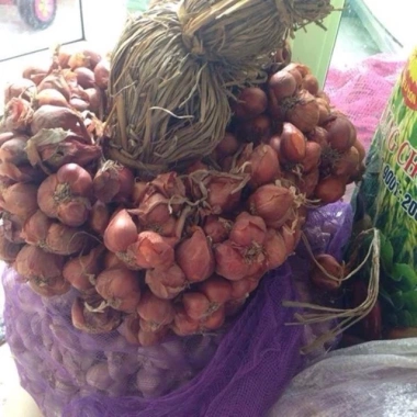 Hành Ta Chuẩn Hành Quê Cắt Cuống – Tươi Ngon, Giá 31.000 VND Giảm Sốc