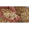 Hạt bí đỏ rang tay giòn tan, thơm ngon, giảm giá 20% chỉ 60.000đ - Đặc sản ăn vặt sức khỏe 2