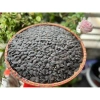 Hạt bí mèo đen rang củi thơm ngon 500gr - Hộp chắc, giảm giá Tết 2.025 7