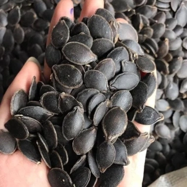 Hạt bí mèo đen rang tay thượng hạng Hơ Mông - sống sấy chín thơm ngon, dễ tách vỏ, không vỡ - 205.000 VND