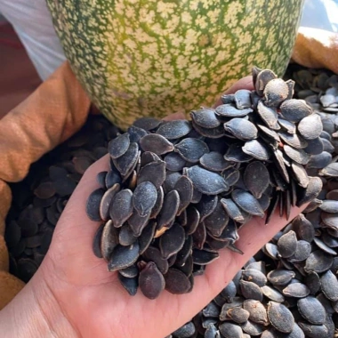 Hạt bí mèo đen rang tay thượng hạng Hơ Mông - sống sấy chín thơm ngon, dễ tách vỏ, không vỡ - 205.000 VND 8 Hạt bí mèo đen rang tay thượng hạng Hơ Mông - sống sấy chín thơm ngon, dễ tách vỏ, không vỡ - 205.000 VND 8