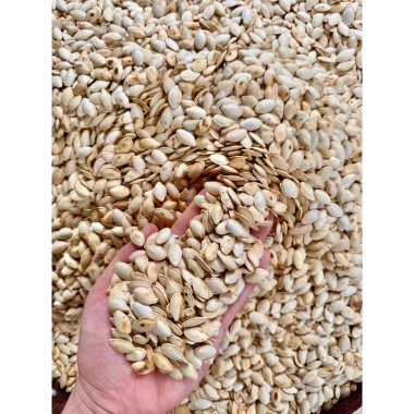 Hạt bí mèo Rang Củi Điện Biên – Giảm còn 89.000₫, dinh dưỡng cao, thơm ngon, hỗ trợ tiêu hoá