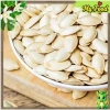 Hạt bí rang muối 500g thơm ngon - Giá chỉ 65.000đ, tiết kiệm cực mạnh
