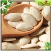 Hạt bí rang muối 500g thơm ngon - Giá chỉ 65.000đ, tiết kiệm cực mạnh 3