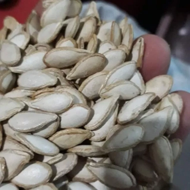 Hạt bí sống chưa rang 100% ảnh thật - Dành cho Tết, giảm còn 150k (giá gốc 189k)