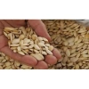 Hạt bí tạ rang tay 1kg - Giòn tan, mẩy từng hạt, giảm giá 17% - Chỉ 81.000₫ 5