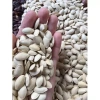 Hạt bí tạ rang tay 1kg - Giòn tan, mẩy từng hạt, giảm giá 17% - Chỉ 81.000₫ 6