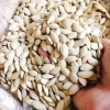 Hạt bí trắng nguyên chất – Khối lượng tịnh, không tính bao bì, giá 102.000₫ 4