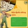 Hạt bí trắng Tân Lộc Phát – Ăn vặt hấp dẫn, giá ưu đãi 98.000₫ 6